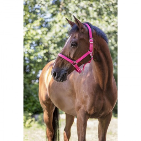 Cabezada de Cuadra Fluo de Norton para Caballo y Poni
