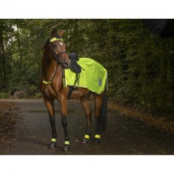 Manta riñonera para caballo reflectante de Norton 2
