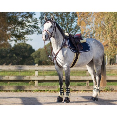 Pack de Protectores "ONTARIO" de QHP