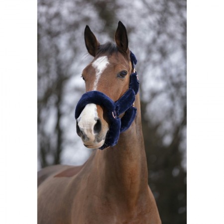Cabezada de Cuadra "TEDDY" Pink Gold de EQUITHÈME
