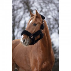 Cabezada de Cuadra "TEDDY" Pink Gold de EQUITHÈME