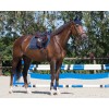 Mantilla "FLORENCE" de QHP