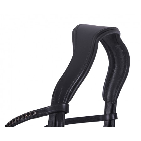 Brida Selene de QHP para Poni y Caballo