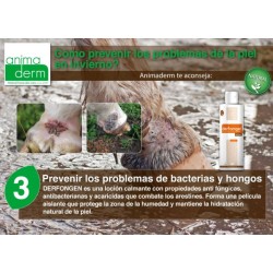 Loción 100% Natural 250 ml "DERFONGEN" de ANIMADERM 2