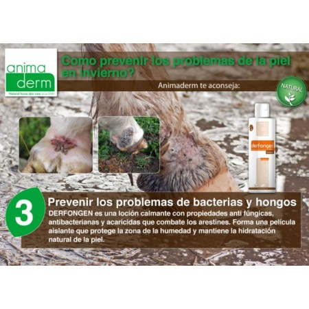 Loción 100% Natural 250 ml "DERFONGEN" de ANIMADERM