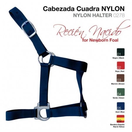 Cabezada para Potro Recién Nacido de Zaldi