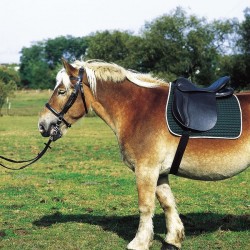 Silla de montar para caballo de tiro de Excelsior
