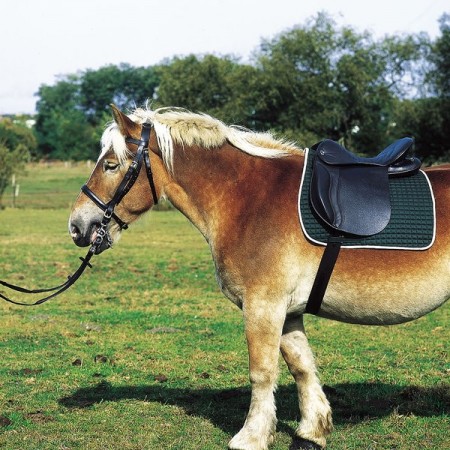 Silla de montar para caballo de tiro de Excelsior
