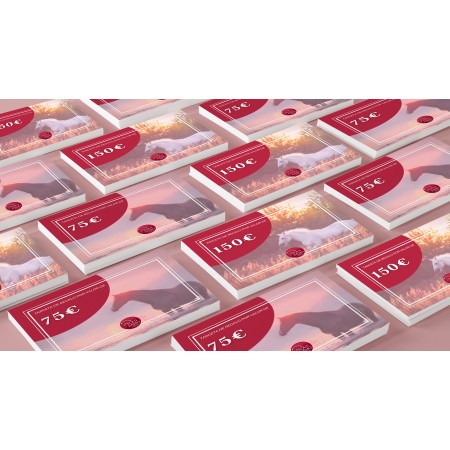 Tarjeta de Regalo de Equitación 75€