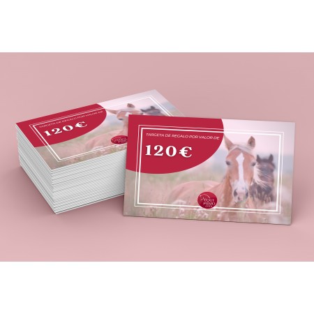 Tarjeta Regalo de Equitación 120€