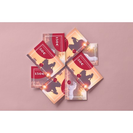 Tarjeta de Regalo de Equitación 150€
