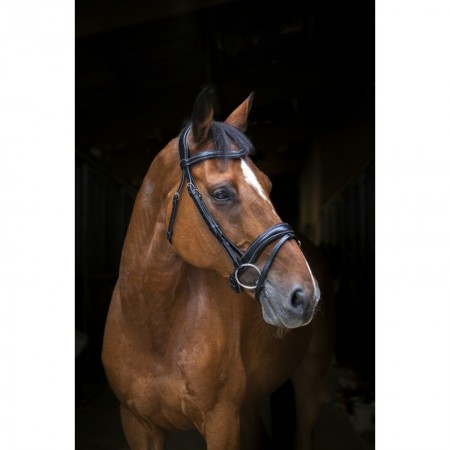 Cabezada de Montar Wave de Eric Thomas Pro