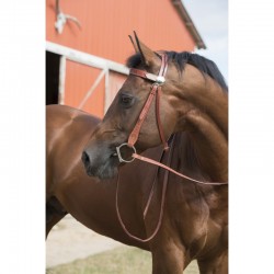 Cabezada de montar western "TWO TONE" de Westride