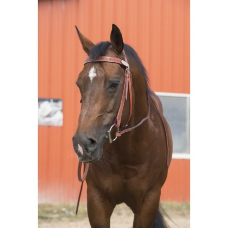 Cabezada de montar western "TWO TONE" de Westride