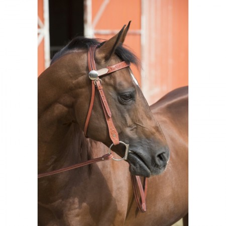Cabezada de montar western "TWO TONE" de Westride