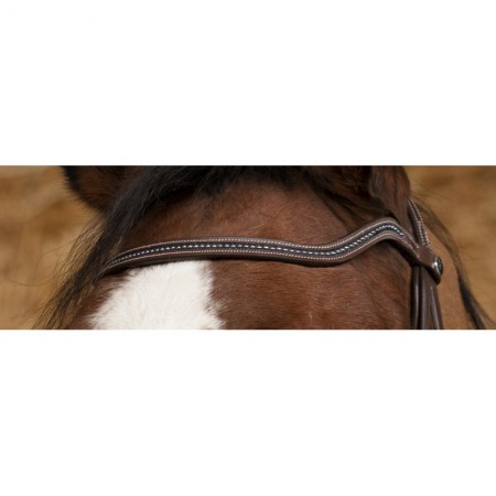Cabezada de Montar Perle de Norton Pro