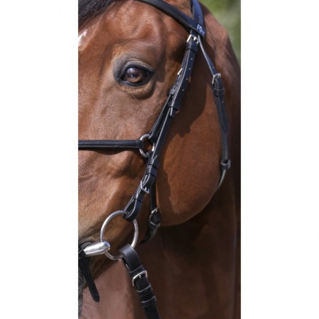 Comprar Cabezada de Montar Mejicana Para Caballo