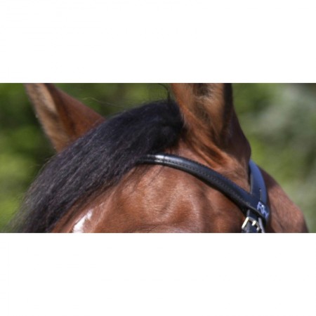 Comprar Cabezada de Montar Mejicana Para Caballo