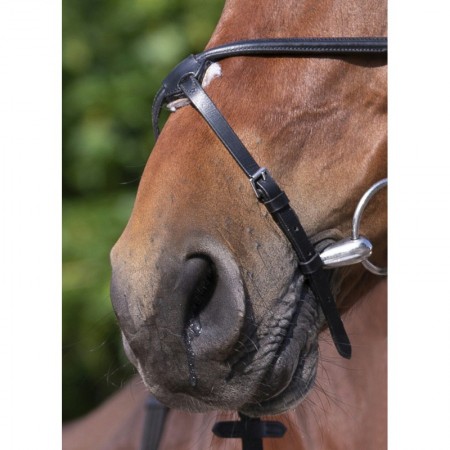 Comprar Cabezada de Montar Mejicana Para Caballo