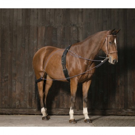 Sistema con poleas para caballo Norton