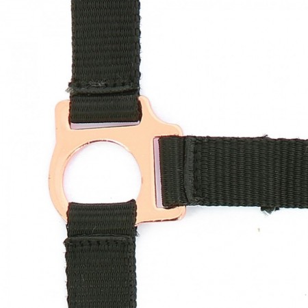 Cabezada y Ramal Rose Gold de NORTON