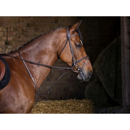 Martingala fija para caballo de Riding World