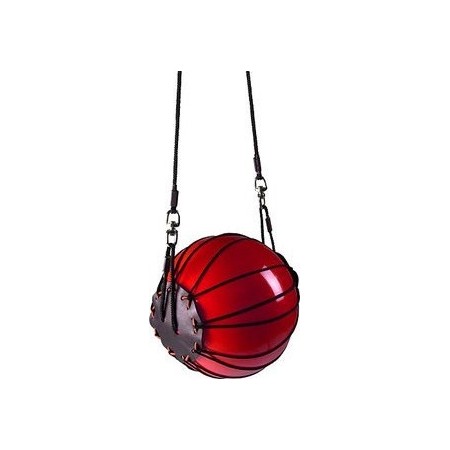 Pelota para caballo