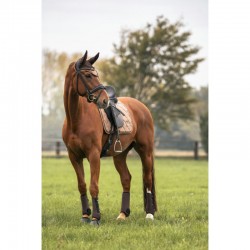 Mantilla Haze Collection de BACK ON TRACK®
