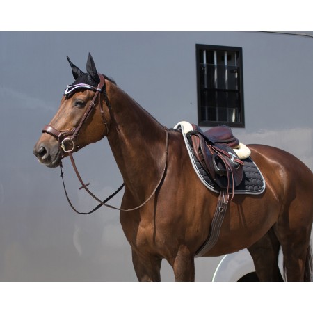 Cincha Anatómica Luxury de QHP para Caballo