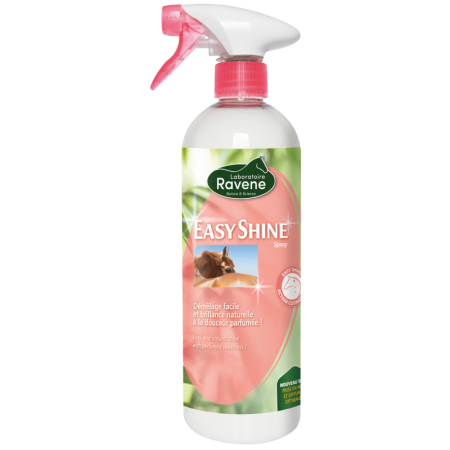 Spray Abrillantador Easy Shine de Ravene