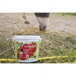 Complemento Nutricional para Caballos Nutrilife+ de Ravene 2