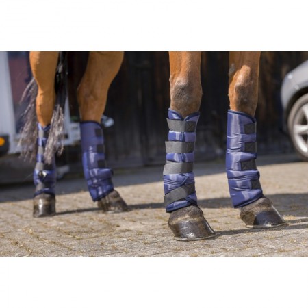 Protectores de Transporte de Riding...