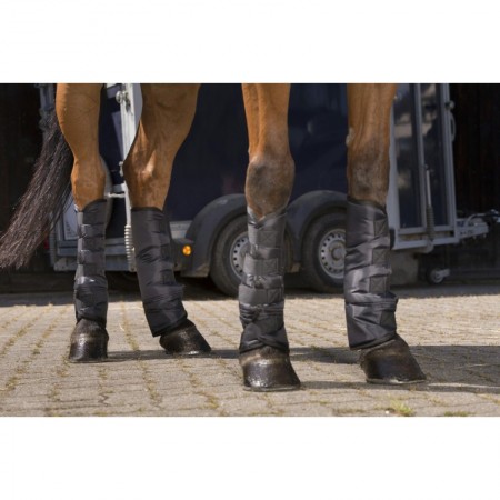 Protectores de Transporte de Riding World para Caballo