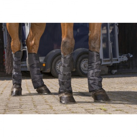 Protectores de Transporte de Riding World para Caballo