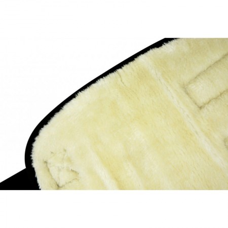 Protectores de Transporte de Riding World para Caballo