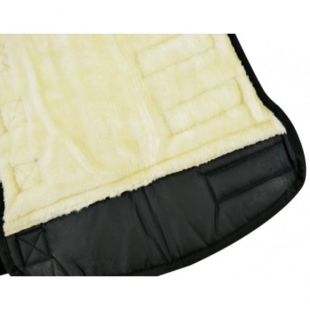 Protectores de Transporte de Riding World para Caballo