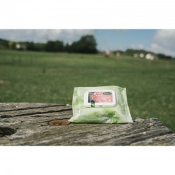 Toallitas Limpiadoras para Caballos Easy Shine Wipe de Ravene 2