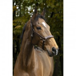 Cabezada de Cuadra para Caballo Anatómica Norton Pro