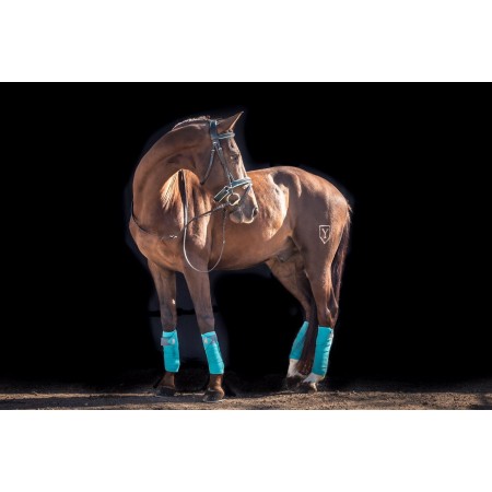 Vendas de trabajo de forro polar para caballos Iquus