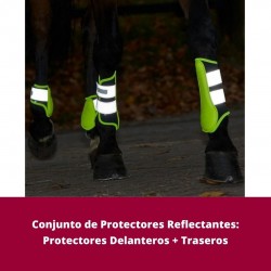 Conjunto Reflectante de...