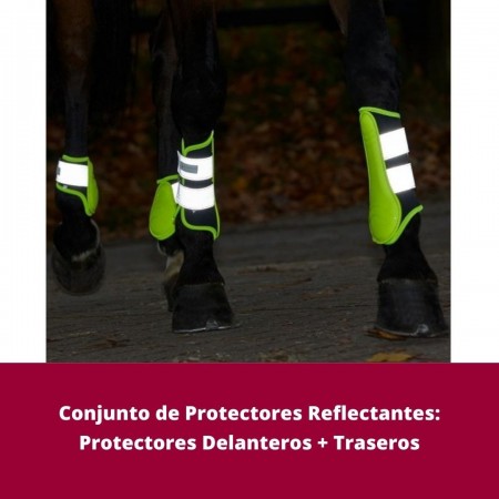Conjunto Reflectante para Caballo de Waldhausen
