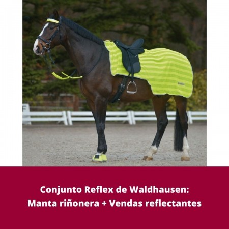 Conjunto de Manta Riñonera y Vendas para Caballo Reflex de Waldhausen