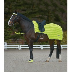 Conjunto de Manta Riñonera y Vendas para Caballo Reflex de Waldhausen 2