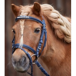 Brida para Poni Lucky Heart...