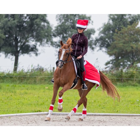 Vendas de Navidad para caballo