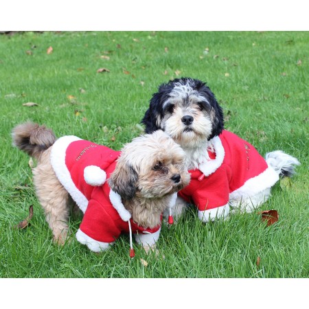 Manta para Perros de Navidad de QHP