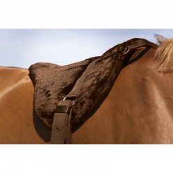 Bareback "CONFORT" de NORTON