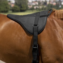 Bareback "SILICONE" de NORTON