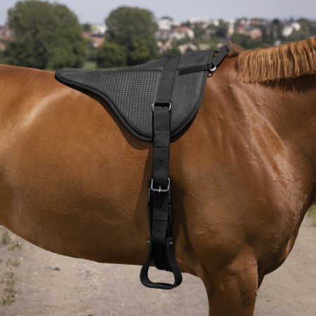 Bareback "SILICONE" de NORTON