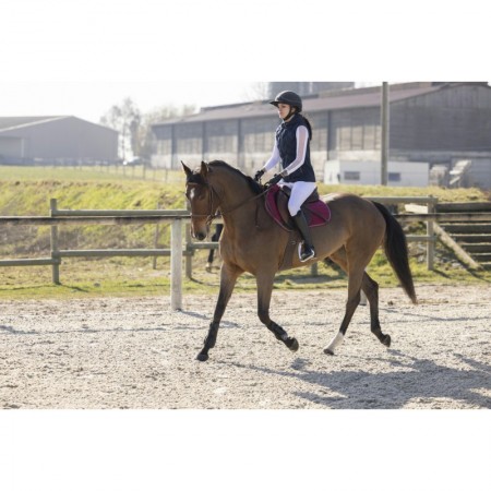 Chaleco "Piaffer" de PRO SERIES